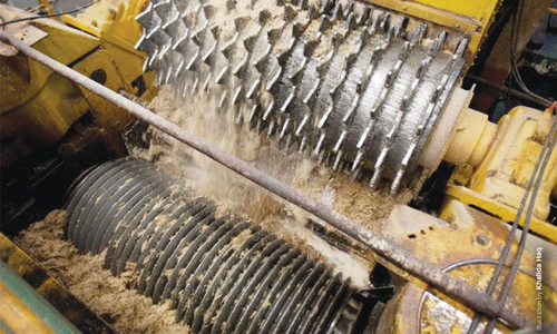 Sugarcane crushing, payments: Punjab drags its feet on amending law to penalise errant mills