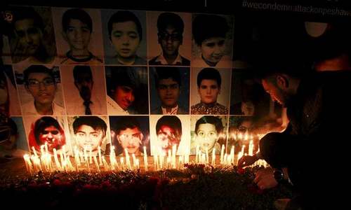 Porous border, residents&rsquo; support behind APS tragedy: probe body