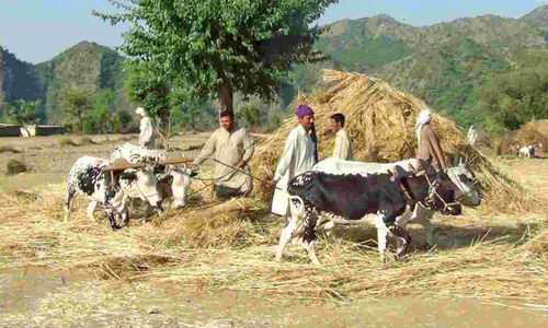 Mark-up subsidy scheme launched for farm sector