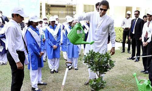Imran affirms support to efforts for biodiversity conservation
