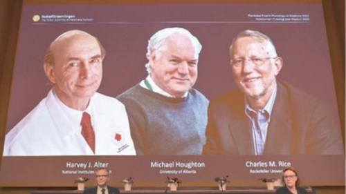 US-British trio win medicine Nobel for Hepatitis C discovery