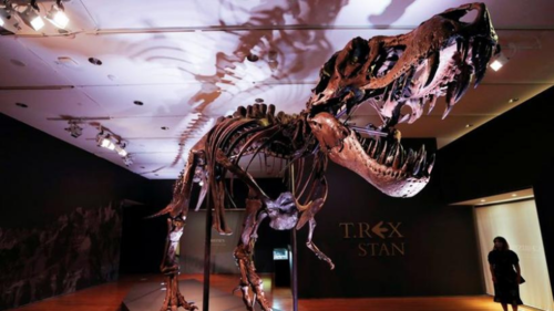 T-Rex fossil sells for record-breaking $31.8 million