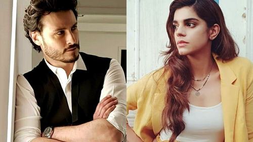Pakistani celebs speak up in support of Churails