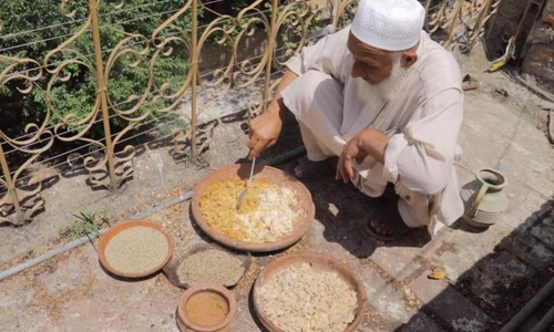 ’پرندوں کی بھوک برداشت نہیں ہوئی، اس لیے ادھار لے کر انہیں کھانا دیا‘