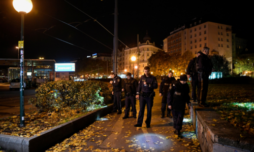 Austria police detain 14 after Vienna 'terror attack' leaves 5 dead