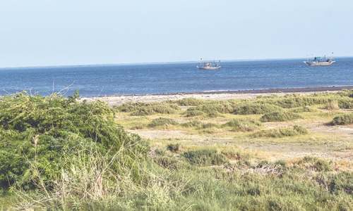 ‘Small islands more vulnerable to environmental degradation’ ‘Small islands more vulnerable to environmental degradation’