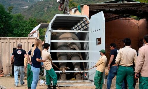 No longer 'world's loneliest elephant': Kaavan's journey from Islamabad to Cambodia in pictures
