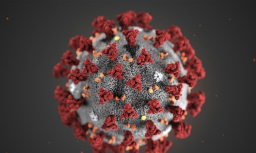 How the novel coronavirus has evolved