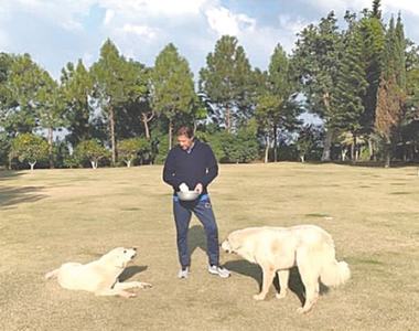 Imran spends time with pet dogs at Banigala