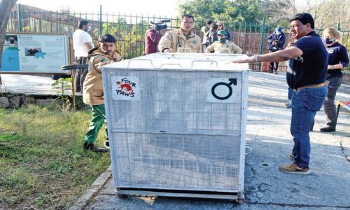 Curtains fall on Marghazar Zoo in Islamabad
