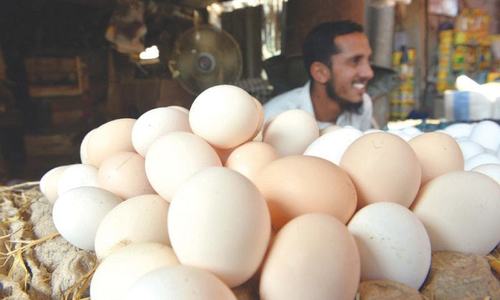 Egg prices smash previous records