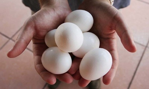 Eggs rate in Lahore&rsquo;s open market breaks records