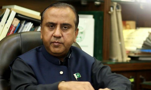 Hindus who migrated to India want to return, says NCM chief