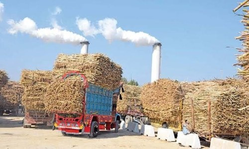 Sugar sector stakeholders at loggerheads over cane price