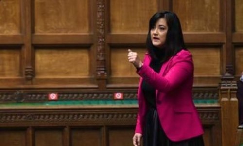British MP makes impassioned plea for Kashmir