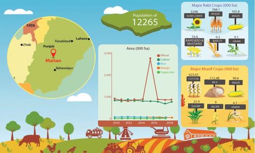 Multan&rsquo;s mangoes and multinationals