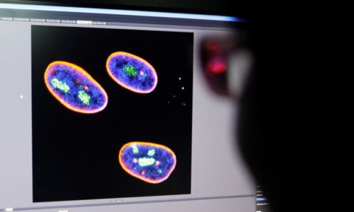 Chinese scientists develop gene therapy which could delay ageing