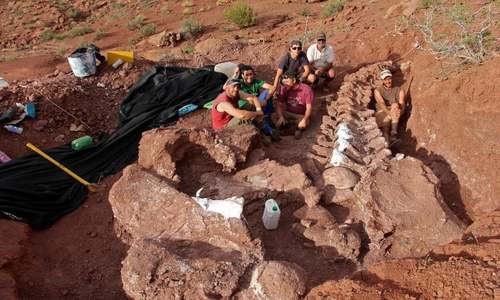 Scientists claim finding fossils of largest dinosaur