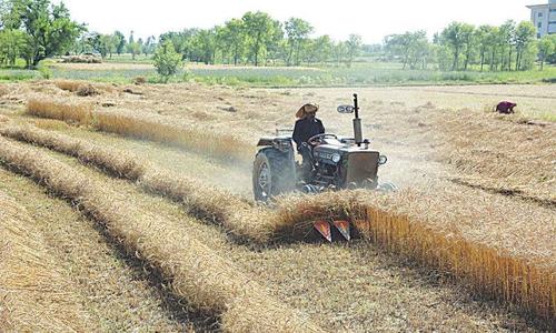 IFAD plans $500m fund for small farmers