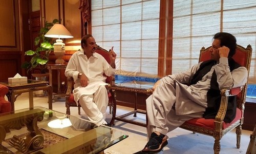 Ordinance for open vote in Senate polls will &lsquo;die&rsquo; if SC rejects reference, says govt