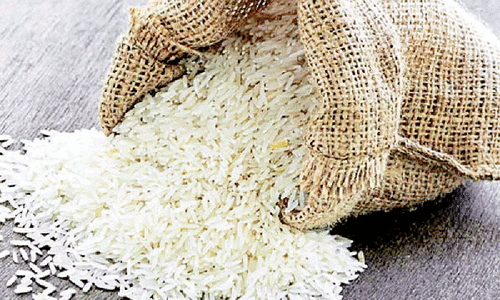 Basmati exports plunge by 38pc in 1HFY21