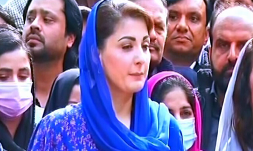 PTI gave Senate tickets to ‘billionaires with no connection or service to party’, says Maryam