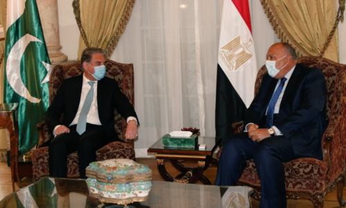 Qureshi discusses ways to strengthen bilateral ties in meeting with Egyptian counterpart