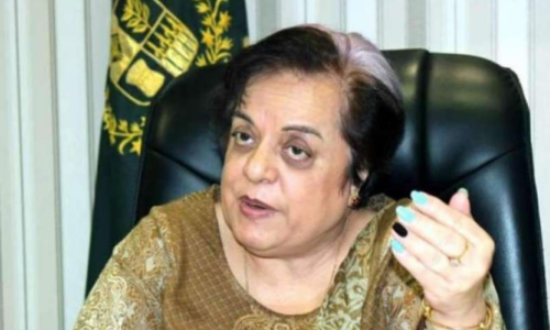 PM to meet 3-member representative committee of missing persons: Mazari