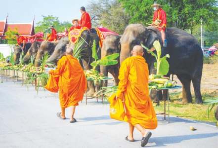 Thailand celebrates Elephant Day, hoping tourists will return