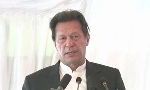 PM starts olive cultivation campaign