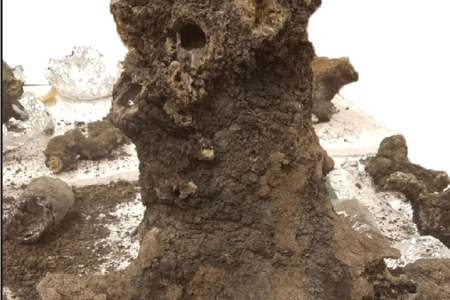 Lightning strikes may have helped life emerge on Earth: study