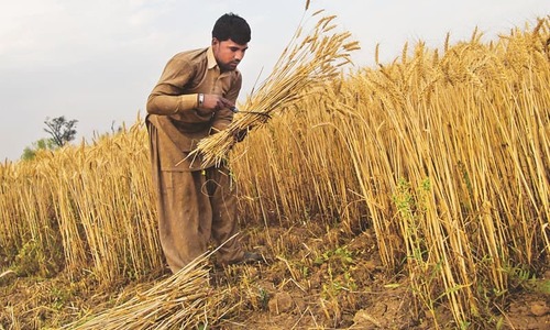 Assessing the future of farm income tax
