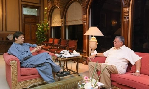 What challenges will  Shaukat Tarin have to navigate as finance minister?