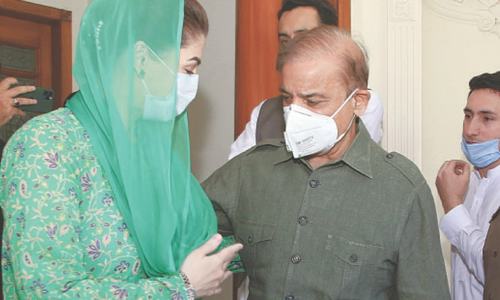 PML-N jubilant as Shehbaz walks out of jail