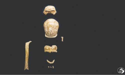 Evidence of nine Neanderthals found in Italian cave