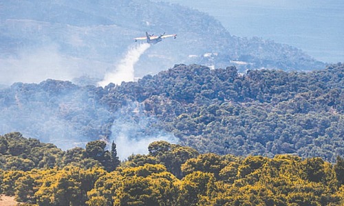 &lsquo;Ecological disaster&rsquo; feared as Greece battles forest fire