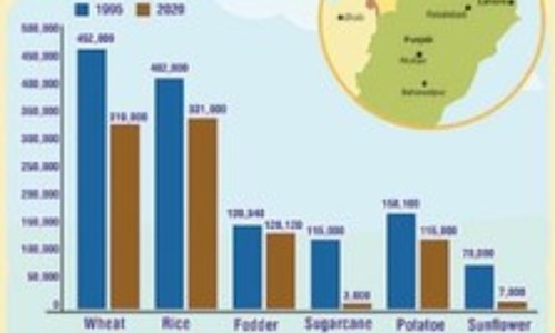 Sialkot — a city with many feathers in its cap
