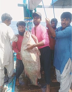 Lady luck smiles on Balochistan&rsquo;s fisherman