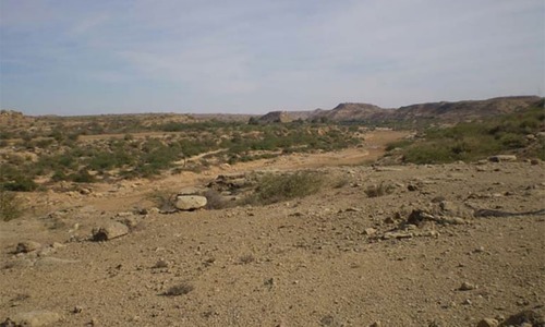 &rsquo;انسانوں کی پھیلائی تباہی کو بھرنے میں ہزاروں برس درکار ہیں&lsquo;