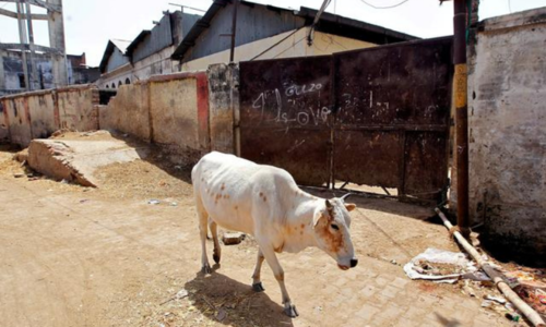 Mob kills man, injures another over suspicion of smuggling cows in India's Rajasthan state