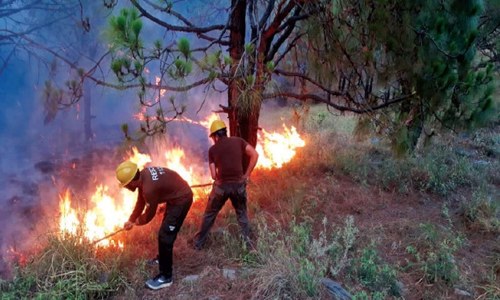 Workers struggle to douse fire in Swabi mountain Workers struggle to douse fire in Swabi mountain