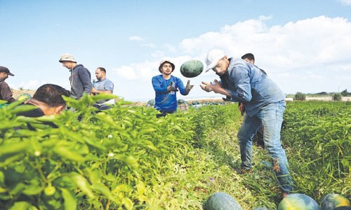 Palestinians call off vaccine exchange with Israel