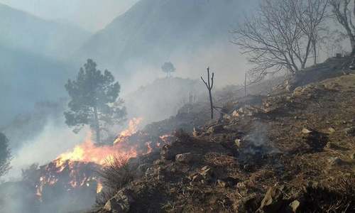 Swabi mountain fire injures two workers