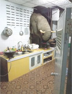 Elephant in the room: Thai family gets repeat mammoth visitor