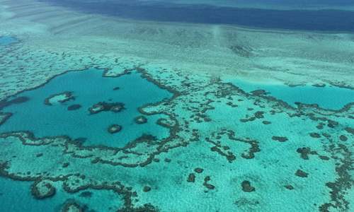 Great Barrier Reef should be listed as &lsquo;in danger&rsquo;, recommends UN committee