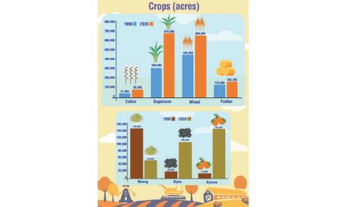 The rise of the water-guzzling crop The rise of the water-guzzling crop