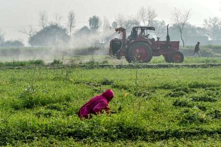 Haunted by nagging water shortage, lower Sindh farmers fear shortfall in paddy production