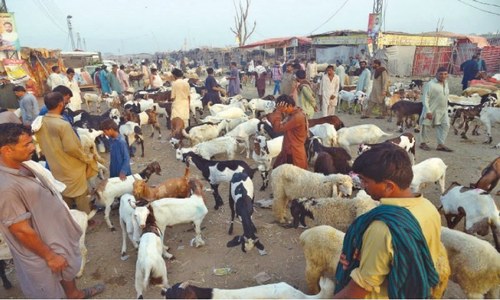 Eidul Azha seen as next big test in Covid fight