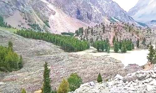 4 people missing as glacial surge blocks nullah in Naltar