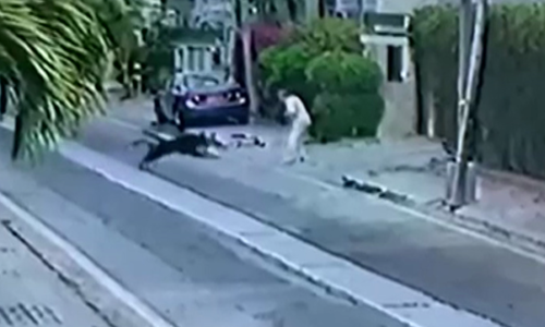 Pet dogs that mauled lawyer in Karachi's DHA to be put down as per terms of 'compromise'